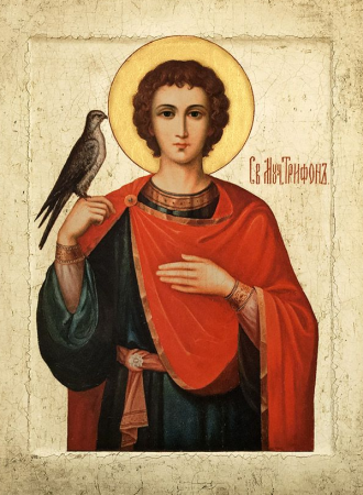 ​​Сегодня, 14 февраля 2024 года, в день предпразднства Сретения Господня, Церковь вспоминает святого мученика Трифона.